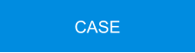 CASE